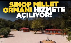Sinop Millet Ormanı vatandaşın hizmetine açılıyor