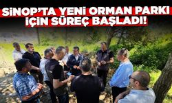 Ücretsiz Olacak: Sinop'ta Yeni Orman Parkı İçin Süreç Başladı