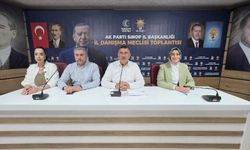 AK Parti Sinop'ta İl Danışma Kurulu Toplantısı Gerçekleştirdi
