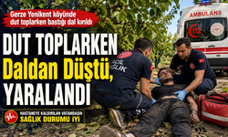 Dut Toplama Kazası: Genç Adam Yaralandı