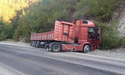 Virajı alamayan tır yol kenarına kaydı