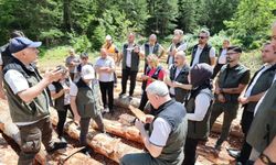 Sinop'ta orman zararlılarına karşı eğitim ve tatbikat yapıldı