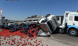 Domates yüklü kamyon devrildi