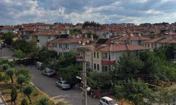 Leylekler Kastamonu kent merkezini mesken tuttu