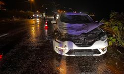 Otomobil büyükbaş hayvana çarptı: 1 yaralı!