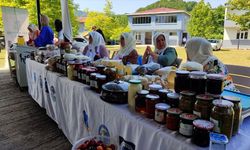 Salıpazarı kestane balında hasat dönemi başladı