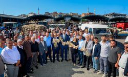 Taşköprü Sarımsak Pazarı açıldı