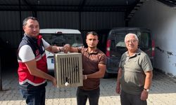 Yaralı leylek güvenli ellerde