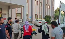Devrilen kamyonetteki 6 kişi yaralandı
