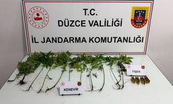 Jandarmadan yasaklı madde operasyonu