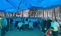 Köylüler geleneksel kır pikniğinde bir araya geldi