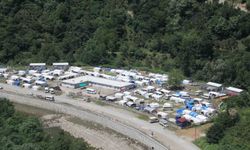 Ordu'da fındık hasadı başladı