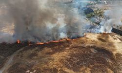 Safranbolu'da anız yangınına hızlı müdahale