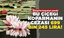 Koparan yandı! Bu çiçeğin cezası 699 bin 245 lira!