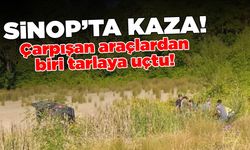 Sinop’ta çarpışan araçlardan biri tarlaya uçtu