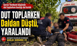 Dut Toplama Kazası: Genç Adam Yaralandı
