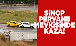 Sinop'ta kaygan yol kazaya neden oldu
