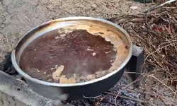 Gerze'de dut pekmezi mesaisi devam ediyor