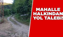 Mahallelinin yol talebi: “Kendi çabalarımızla onarmaya çalışıyoruz!”