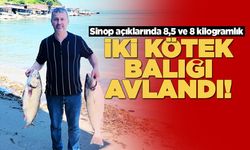 Sinop açıklarında iki kötek balığı yakalandı