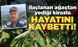 İlaçlanan ağaçtan kiraz yedi, hayatını kaybetti!