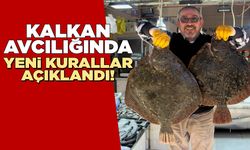 Kalkan avcılığında yeni kurallar ve kotalar açıklandı
