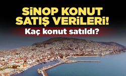 Sinop'ta haziran ayında kaç konut ve iş yeri satıldı?