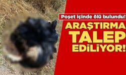 Sinop'ta şoke eden olaya araştırma isteniyor!