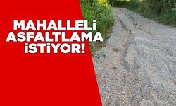 Osmaniye Mahallesi'nde bozuk yol tepkisi