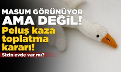'Peluş kaz' oyuncağa toplatma kararı