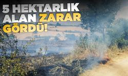 Sinop'ta anız yangını ekipleri harekete geçirdi