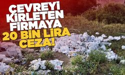 Gerze'de çevreyi kirleten firmaya ceza uygulandı