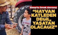 Buldukları yavru tavşanları doğaya bıraktılar