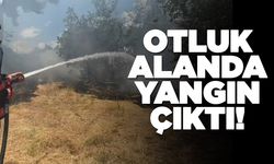 Orman kenarında çıkan yangın korku dolu anlar yaşattı