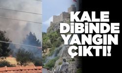 Kale eteğinde yangın paniği!