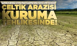 Sinop Karasu Ovası'nda sulama ana hattı yine patladı