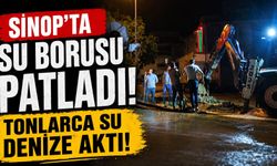 Patlayan borudan akan su Karakum'a kadar ulaştı