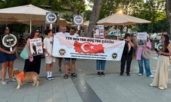 Sinop Hayvan Hakları Platformu: "Sokak canları sahipsiz değildir!"