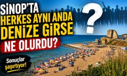Sinop'ta Herkes Aynı Anda Denize Girse Ne Olurdu? Hesaplama Şaşırttı!