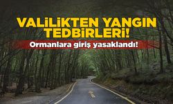 Sinop'ta orman yangınlarına karşı tedbirler açıklandı!