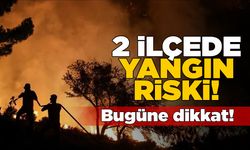 Sinop’un 2 ilçesine kritik “yangın” uyarısı!