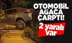 Kontrolden çıkan otomobil ağaca çarptı