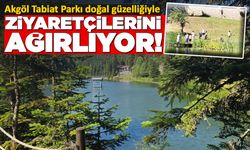 Sinop Akgöl’de hafta sonu yoğunluğu