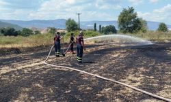 Anız yangınına ekiplerden hızlı müdahale