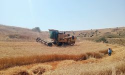 Biçerdöver denetimleri sürüyor