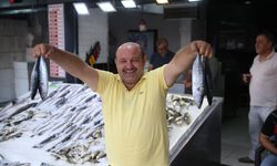 Karadenizli balıkçılar yeni sezonda palamuttan umutlu