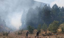Kastamonu'da orman yangını çıktı