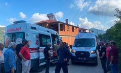 Ordu'da tarım aracının devrildiği kazada 3 kişi yaralandı