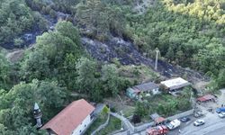 Sinop'ta orman yangınına neden olan kişi tutuklandı