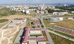 Bezelye kabuklarından biyokömür üretilecek